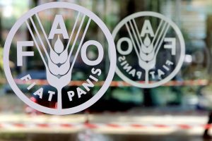 FAO grant funds 3 PHL agri feasibility studies for $1 million