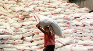 Rice prices expected to rise by up to P5 on reduced imports 