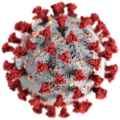 Covid19-Coronavirus-reuters