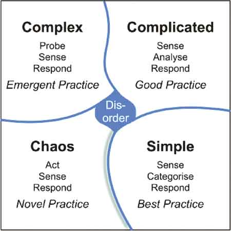 How Experts Make Complex Decisions