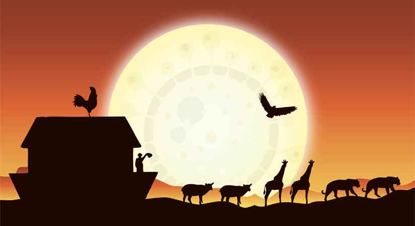Noah’s Ark with virus