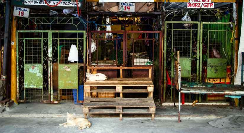 Manila market coronavirus