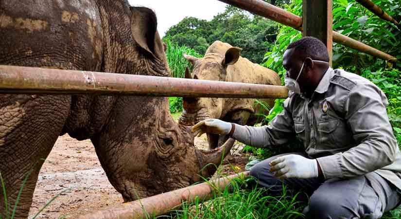 wildlife reserve Uganda coronavirus
