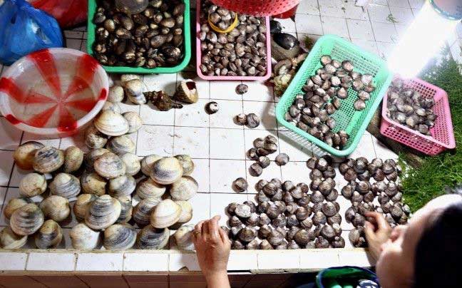 red-tide-philstar
