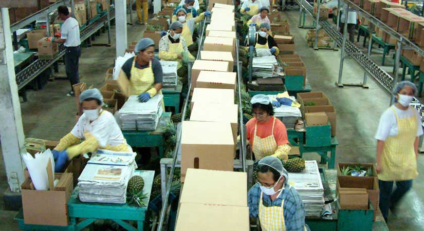 FACTORY OUTPUT FILEFOTO