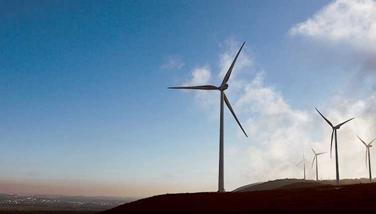 DOMINGUEZ GREEN ENERGY FILEFOTO
