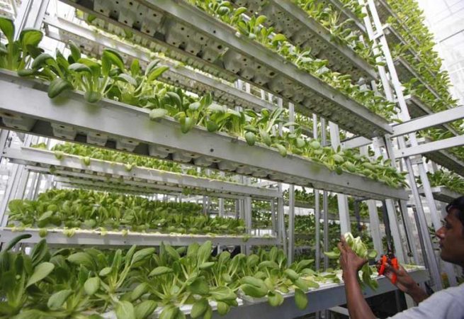 vertical farm-reuters