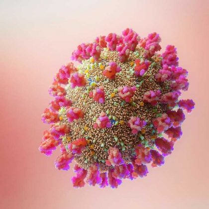 corona-virus-1-e1601360882167-2
