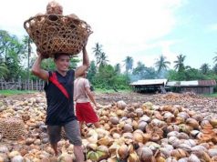 Agro-based exports up 7.5% in Feb.