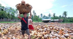 Agro-based exports up 7.5% in Feb.