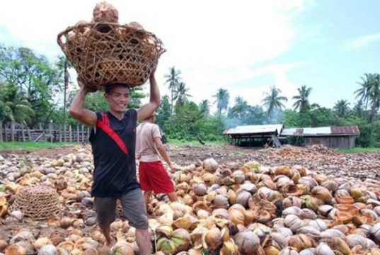 Agro-based exports up 7.5% in Feb.