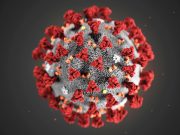 Virus strain behind deadly India outbreak detected in 44 nations