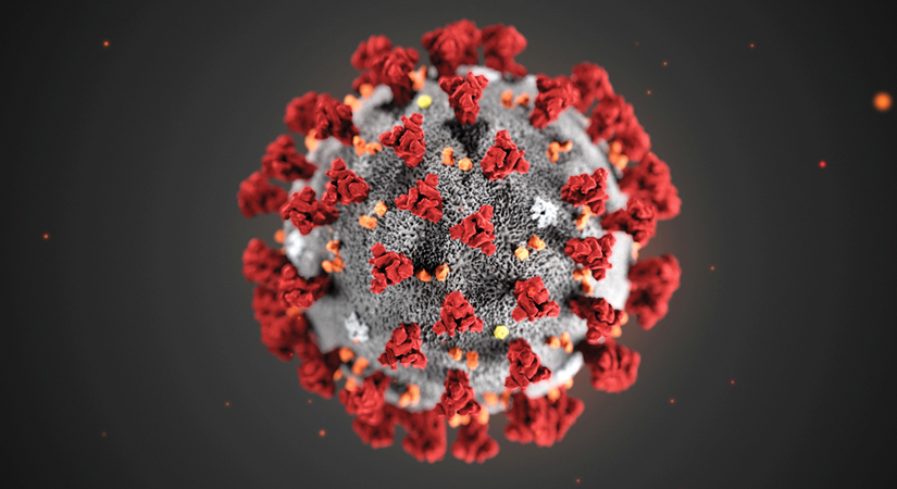Coronavirus-0203202