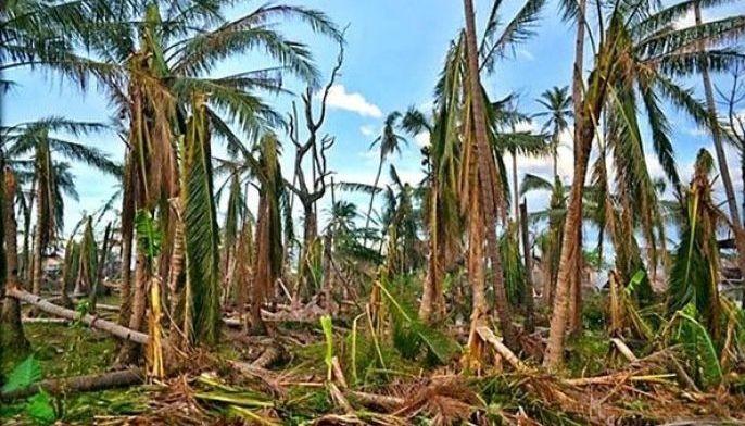 FARM-DAMAGE-PHILSTAR