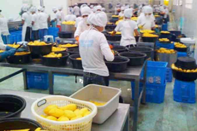 factory-worker
