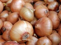 Red, white onion MSRP set at P120 per kilogram