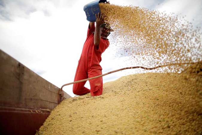 worker-soy
