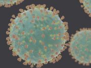 Vietnam detects hybrid of Indian and UK COVID-19 variants