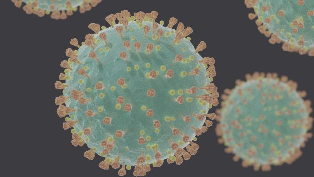 Australia suffers deadliest day of pandemic as Omicron drives up hospital circumstances