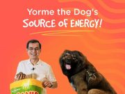 How dogs are helping us cope with the pandemic