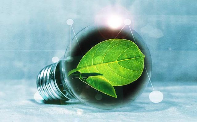 ONLINE_light-bulb-2632075_1920