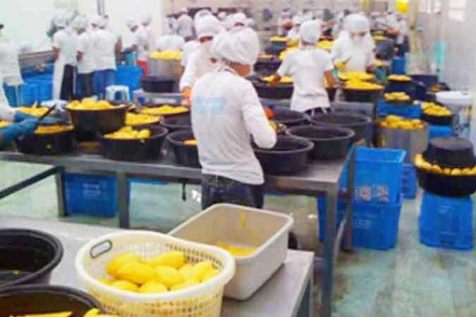 factory-worker