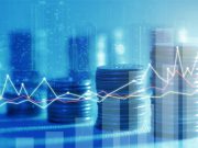 Are you a lion or a sheep?