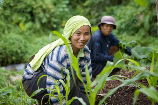 Agri-farmer
