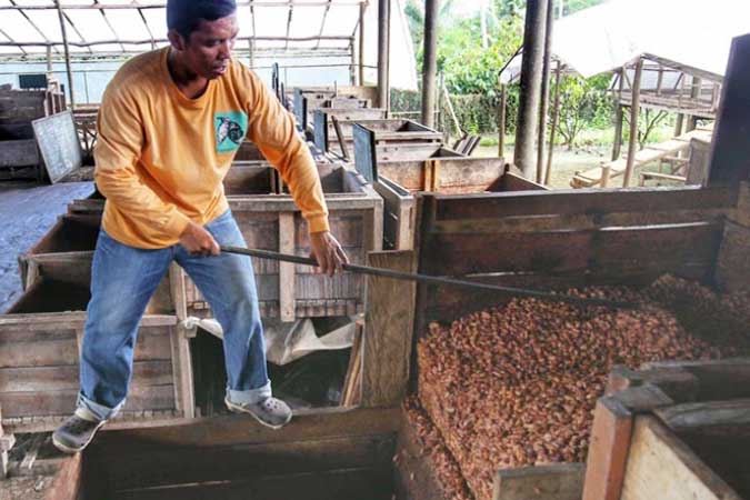 Cacao-beans-091718