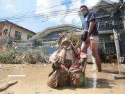 DoF warns climate change could wipe out PHL economic gains