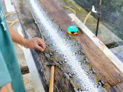 Exotic leathers: why fashion products are more sustainable than some research suggests