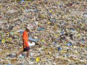 Startups trying to solve plastic problem receive support from WWF, investor groups