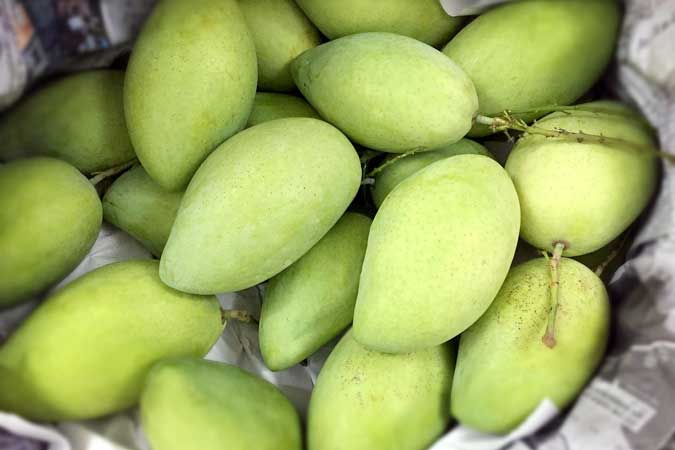 mango