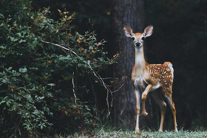 scott-carroll-favQn8WgRyk-unsplash