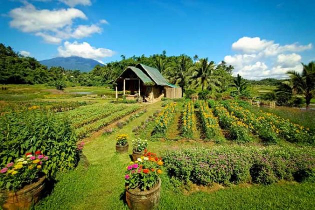Agriculture tourism image