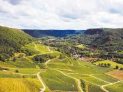 Hubs helping the agri sector thrive