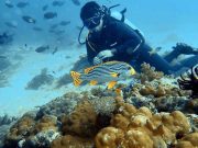 MPIC dedicates over a decade to shoring up ESG