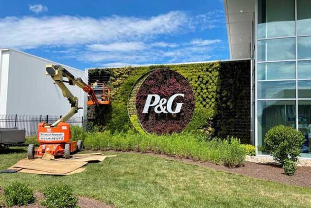 Procter & Gamble-logo