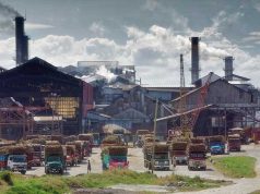 Domestic preference for molasses expected to boost sugar industry