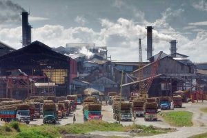 Domestic preference for molasses expected to boost sugar industry