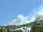 Death toll in Turkey wildfires rises to eight, coastal resorts affected