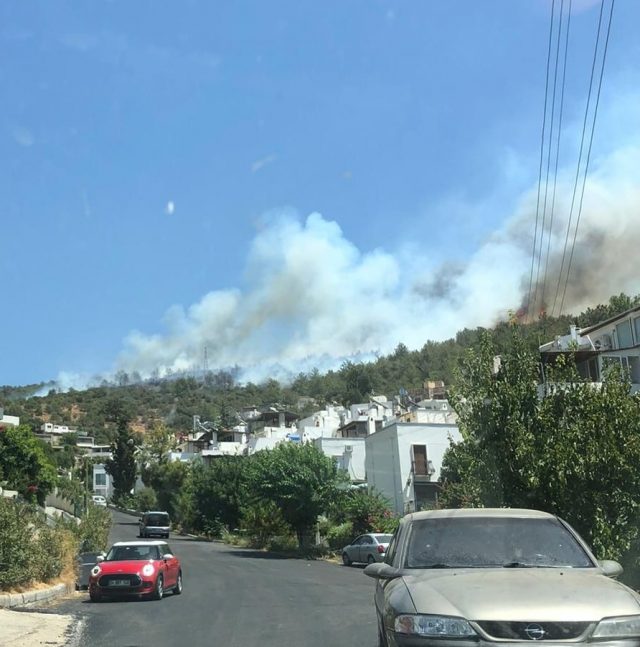 Bodrum_31_July_2021_wilfires