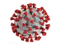 Discovery of Omicron in deer raises concern over possible new variants Use file pic of coronavirus