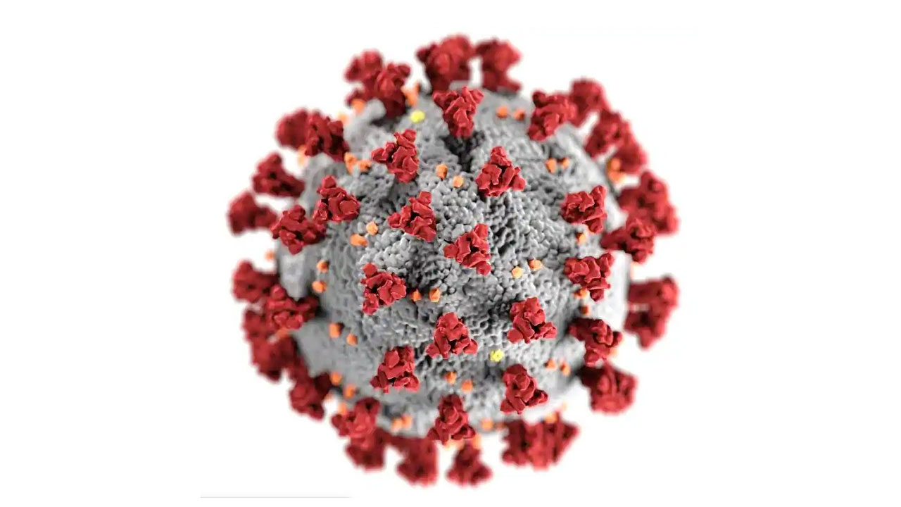 Coronavirus-Covid19