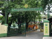 No FDA-approved COVID self-tests yet — Vergeire