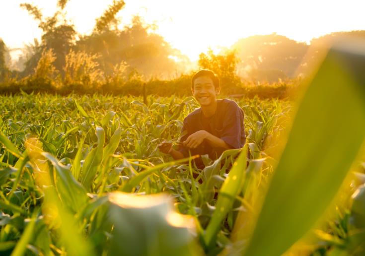 Farmbox