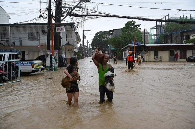 Flood