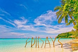 Boulevard Holdings posts  17% December sales gain