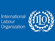 ILO offers digital upskilling for youth in construction