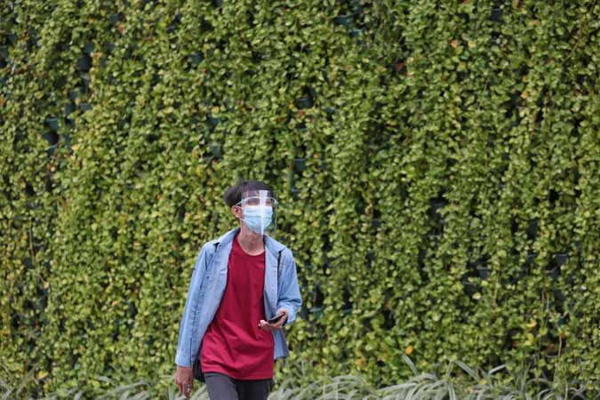 Plant-wall